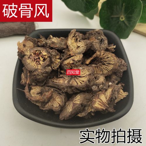 中药材野生破骨风 破膝风 花木通 钻骨风 老鹰柴 破风藤500克包邮