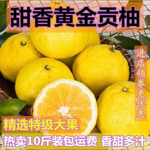 正宗贵州松桃黄金贡柚春香桔柚子十斤装批发当季新鲜水果象山青