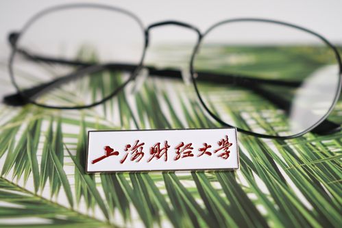 上海财经大学校徽 上财校徽 上海财经大学徽章上海财经大学纪念品