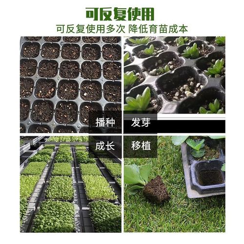 穴盘育苗盘 爬藤育苗p盒器苗木多肉叶插 育苗箱育苗盆托盘培育苗