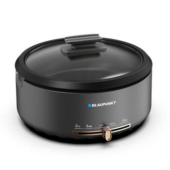 蓝宝(blaupunkt)火锅家用4l 多功能电炒锅电煮锅 分体设计锅身bp-dhg