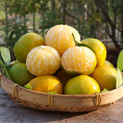 现摘广西无核皇帝柑大果新鲜当季水果9斤整箱包邮柑橘黄帝柑纯甜