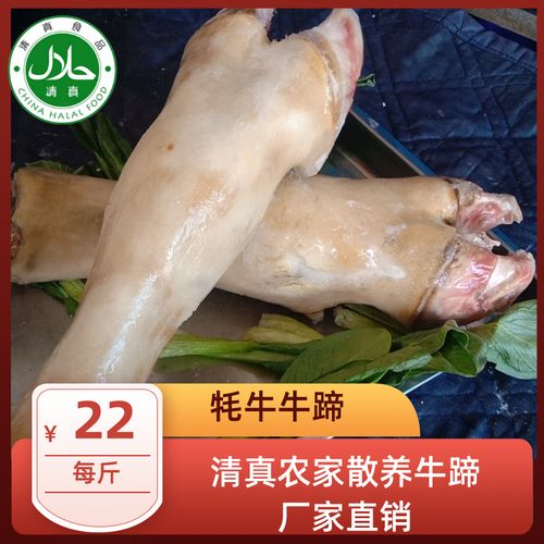 清真新鲜牛蹄子牛肉新鲜现杀牛爪牛脚冷冻牦牛肉牛蹄火烤去毛称斤