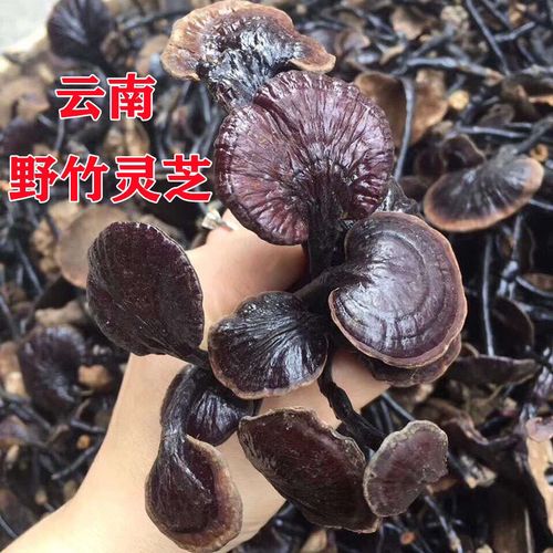 竹灵芝野生灵芝云南竹灵芝林芝黑芝片紫灵芝整枝灵芝灵芝片黑灵芝【2