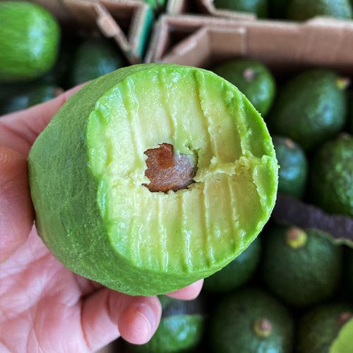 鲜其 墨西哥牛油果新鲜当季巨无霸大果水果宝宝辅食鳄梨整箱 单果110
