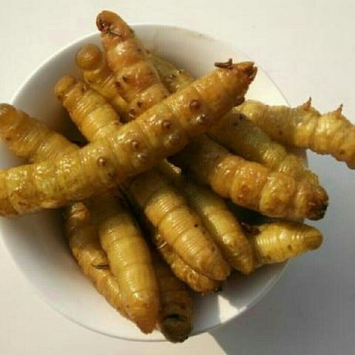 新鲜油炸豆虫下酒菜豆丹野生美味开袋即食虫蛹山东沂蒙特产好吃菜