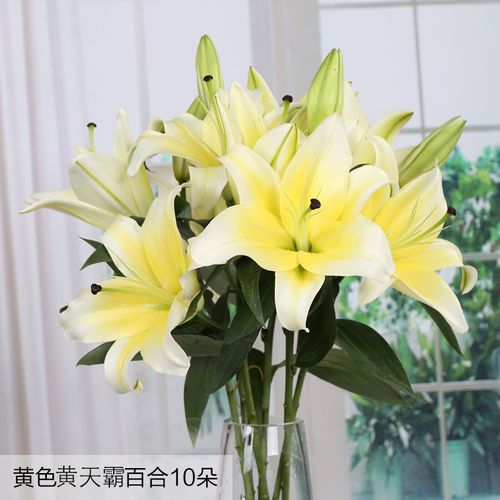 基地直发水养花家用插花办公室鲜切花真花 黄色黄天霸百合10朵(4-5枝)