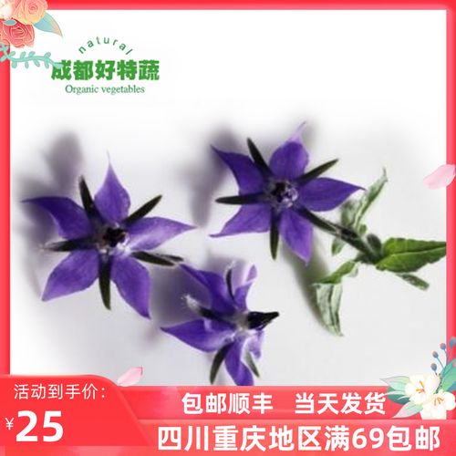 琉璃苣兰心花沙拉食用花农场直供西餐摆盘装饰食材包邮60朵/盒