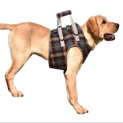 辅助护带犬受伤下楼前腿残疾老龄背带上下走路助力狗狗牵引带带高