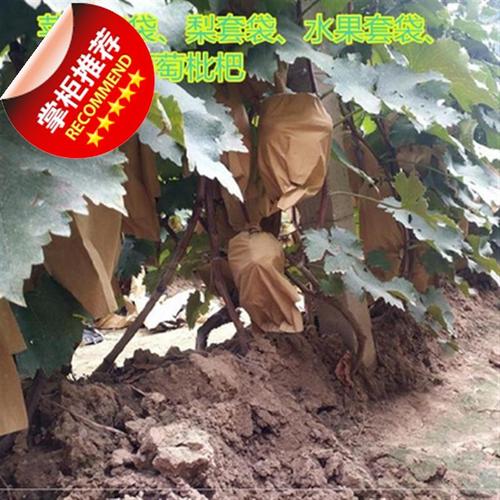 水果袋树上方便防鸟y吃防虫保护袋防晒露天果袋套袋梨子纸袋果树