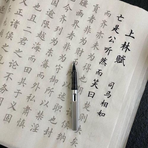 上林赋长卷送男赋友写上林得马xzn心上人司相如全篇字五米卷帖全