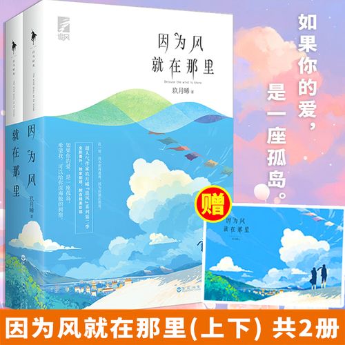 因为风就在那里(上下)共2册 玖月晞追风系列第二季他知道风从哪个方向