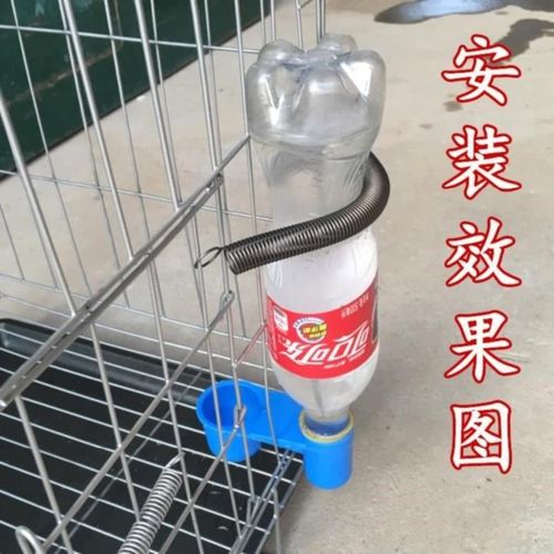 水壶幼鸡自动饮水器鸡场小鸡矿泉水瓶立式流动赛鸽育雏家用小型鸟