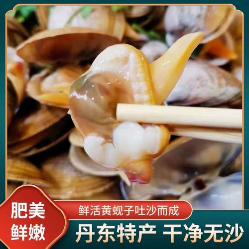 真空即食黄蚬子丹东大黄蚬子蚬子新鲜鲜活蚬子肉新鲜丹东海鲜