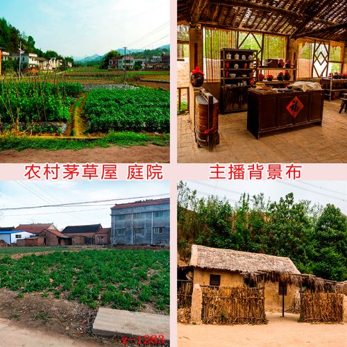 主播直播拍段子视频背景布复古怀旧农村茅草屋酒馆菜园挂布3d立体