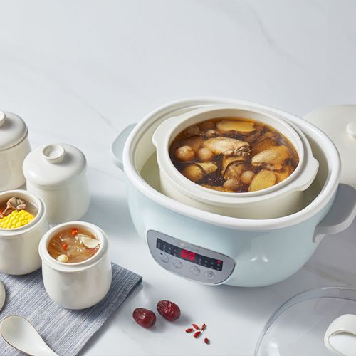 bear/小熊 ddz-c25e1电炖锅家用全自动隔水炖盅白陶瓷煮粥煲汤锅