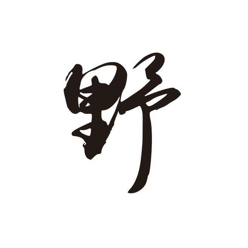 野字车贴抖音网红创意个性文字装饰汽车前擎盖车身后档贴纸画 野【16.