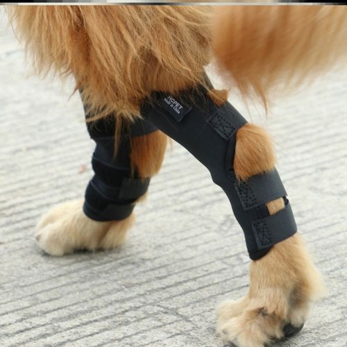 狗狗骨折固定夹板 狗部宠物狗前腿猫咪固定器绑带支架夹板幼犬后腿