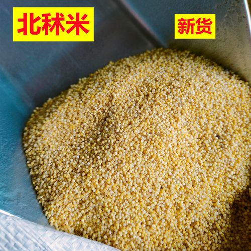 北秫米精选中药材1000g包邮熬粥糯小米袋装黄糯粟安神秫米非500克