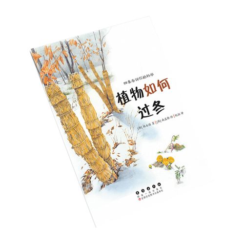 幼儿园儿童科普读物动物植物科学探索启蒙认知书数学绘本