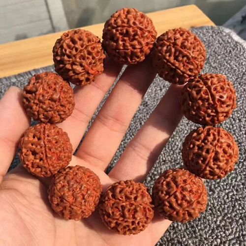正宗印尼大金刚菩提子文玩手串男原籽红满肉6-7-8-9-10十瓣大金刚