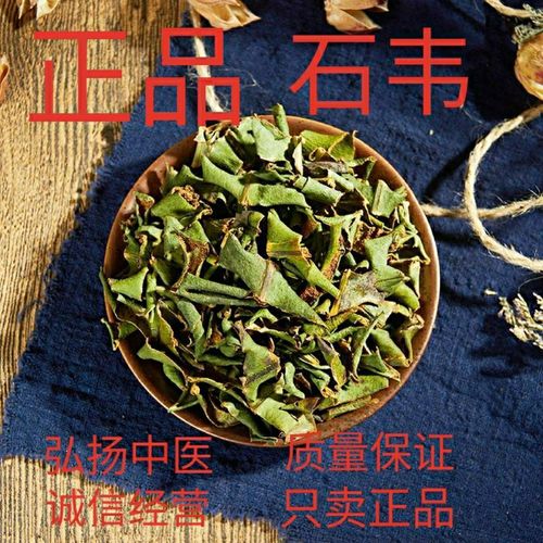 石韦正品中药材石韦,石樜,石皮,石苇,石兰,金星草