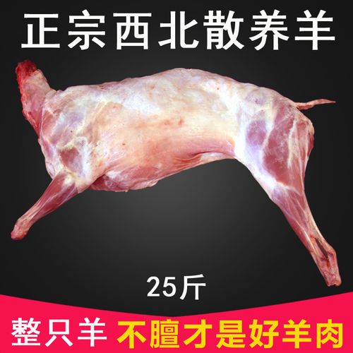 全羊 整只新鲜羔羊肉白条羊西北甘肃兰州羊肉新鲜整只羊25斤包邮