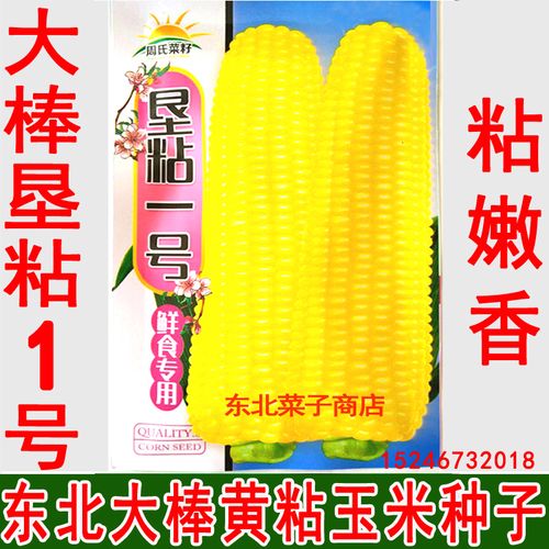 新籽东北黏玉米种子 原厂袋装 正宗大棒垦粘一号 黄粘糯玉米种子