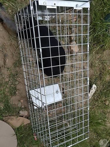 抓狗神器全自动捕狗笼抓狗笼救助狗逮狗笼抓狗工具捕猫抓猫笼子.