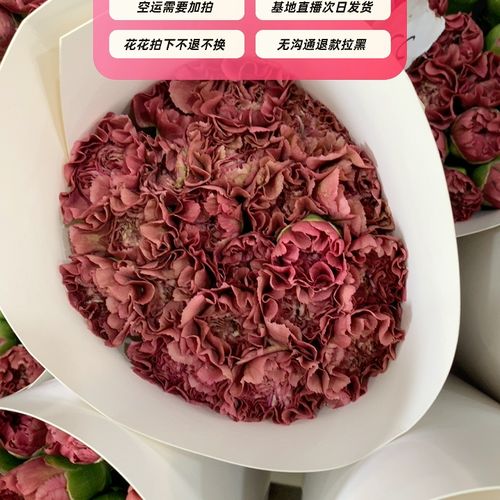 焦糖古董康乃馨16 4支任意两把以上顺丰冷链包邮不售后