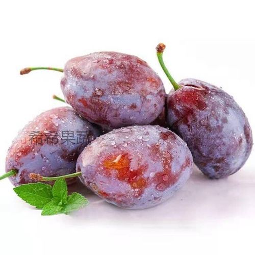 新疆大西梅新鲜水果喀什法兰西西梅孕妇水果应季李子整箱水果生鲜 3斤