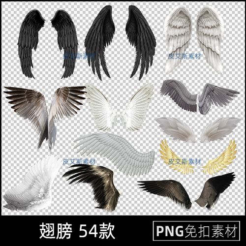 png免抠翅膀天使羽毛羽翼图片透明底影楼后期ps设计素材