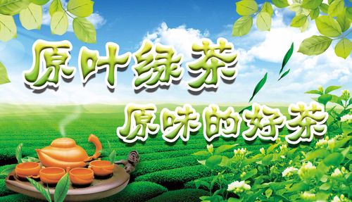 21素材茶叶茶道茶文化茶海报海报展板299原叶绿茶海报印制