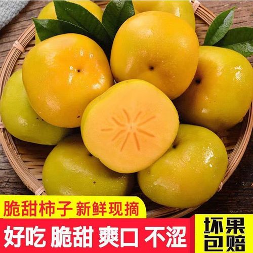 【超好吃】云南脆柿巧克力柿子新鲜水果脆甜整箱批发包邮3/5/9斤