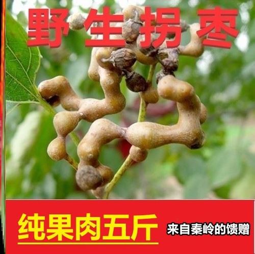 2021拐枣新鲜生吃水果当季野生万寿果鸡爪梨果枳椇金钩子泡酒5斤