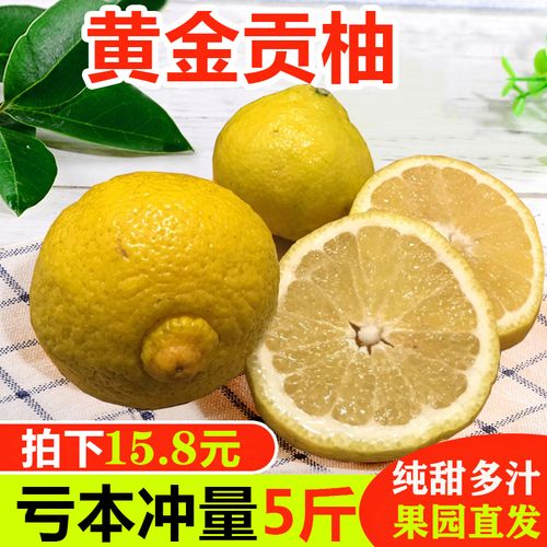 黄金贡柚怀化洪江岩垅春香桔柚象山青礼品盒装10斤纯甜雪峰小柚子
