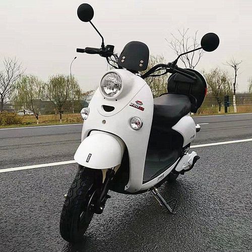 新款国标单灯小龟王电动车 男女式成人可上牌电摩电瓶车 白色 72v越野
