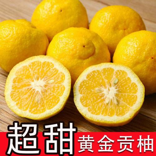 怀化黄金贡柚桔柚当季新鲜孕妇水果春香丑橘丑八怪柚子整箱包邮