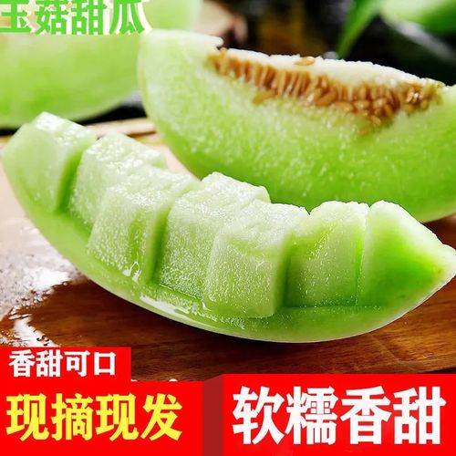 现摘玉菇甜瓜冰淇淋蜜瓜香瓜新鲜水果玉茹香瓜甜瓜蜜瓜应季水果