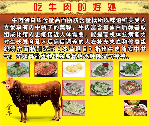 652居家海报展板喷绘贴纸素材265吃牛肉的好处2