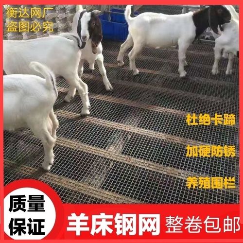 羊床网养羊网养鸡鸭鹅漏粪钢网围栏网养殖围栏网热镀锌轧花钢丝网【6