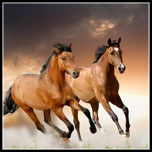 自己绣两匹马十字绣钻石绣骏马奔腾钻石画满钻粘钻画