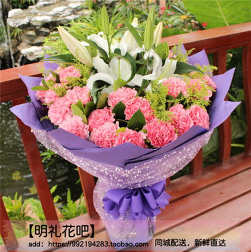 哈尔滨鲜花店同城配送33朵红粉康乃馨鲜花生日母亲教师节鲜花速递