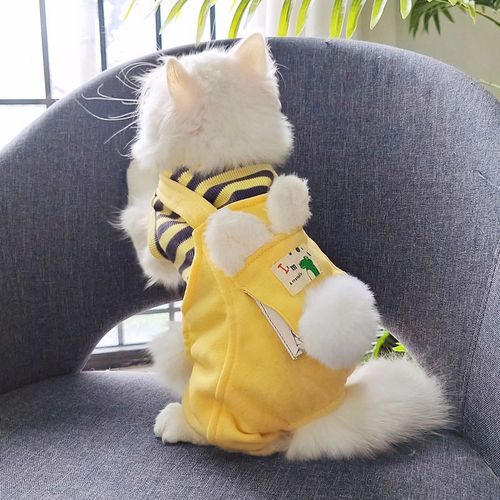 hoopet 猫咪衣服宠物猫猫秋冬网红小猫衣服冬装冬季保暖英短幼猫无毛