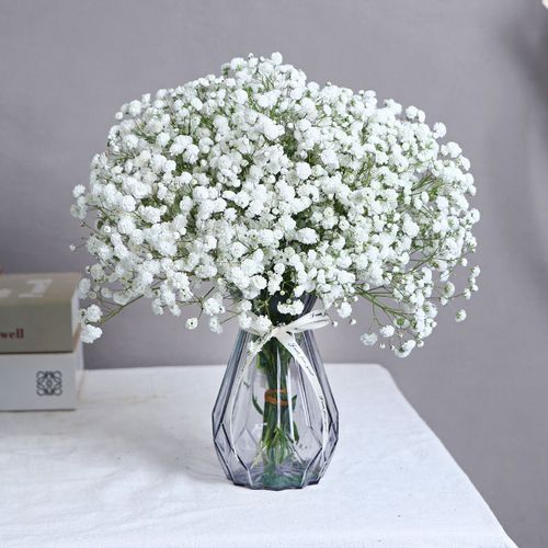 【网红款】满天星干花花束客厅装饰摆件真花鲜花云南直发批发生日礼物