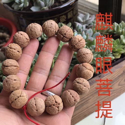 麒麟眼菩提精选菩提子原籽老料龙眼麒麟五星眼上将佛头散珠手串