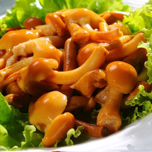 滑子菇滑菇 新鲜滑子蘑尔 承德东北特产清水滑菇罐头袋装5袋包邮【6月