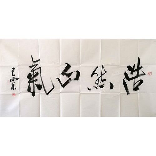 名人字画王西京手写四尺书法作品 浩然正气 送合影作者专用袋收藏
