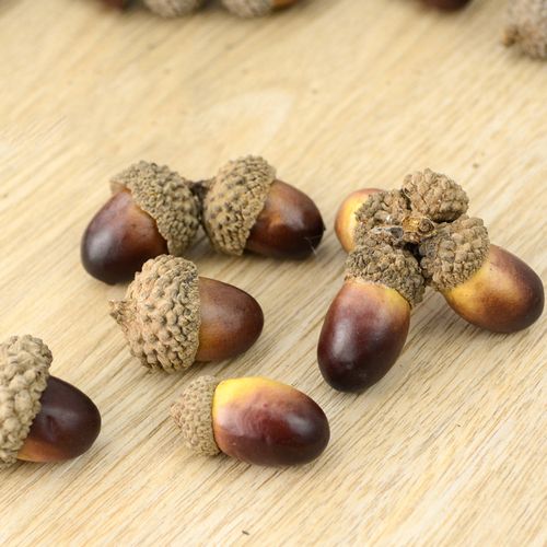 天然带帽橡果子浆果diy手作配件野生干花环保装饰拍照道具橡树果