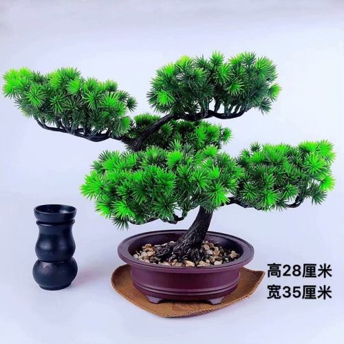 松松树盆景树室内装饰客厅花卉绿植大盆栽塑料摆件 5层古云松(石盆)